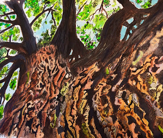 A vintage Schwinn bicycle on a sunny suburban street