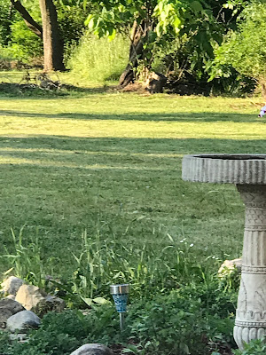 A serene beach with yellow-green leaves and soft waves