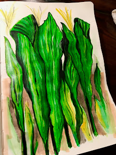 Sunlit morning landscape with hummingbirds and wildflowers