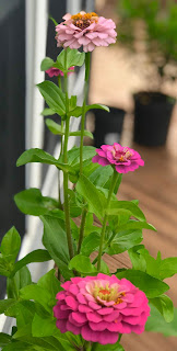 Open road through rolling green hills under summer sky