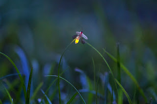 TV screen showing a scene from The Sixth Sense movie