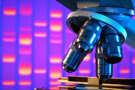 Family members painting and writing together