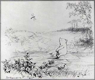 Secluded fishing hole surrounded by tall weeds and trees in Indiana