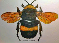 Portrait of Benjamin McFadden with bees and winter landscape