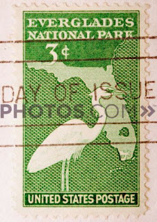 Two headlights illuminating a road through the Florida Everglades at dusk