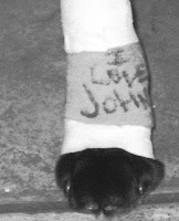 Tennis balls soaring over a green field under a bright sky