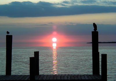 Sunrise with coffee pot and cat leaving the room