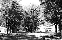 Children riding bikes and playing outside on a quiet suburban street