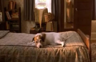 Portrait of Willie Morris with his dog Skip