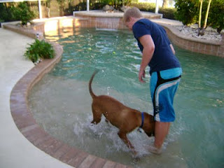 Rocket swimming in the pool during late afternoon
